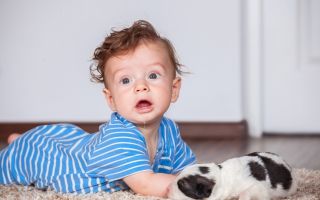 Развитие семимесячного ребенка: психология малыша и особенности периода