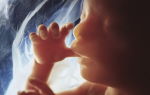 Внутриутробный период развития ребенка: как протекает беременность для мамы и младенца