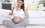 Развитие ребенка на 34 неделе беременности: все о чем нужно знать женщине