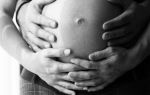 Развитие ребенка на 25 недели беременности: что покажут узи исследования