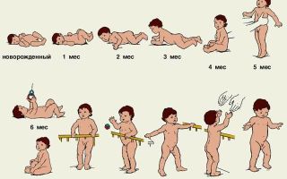 Таблица развития ребенка до 1 года: индивидуальные физические параметры малыша