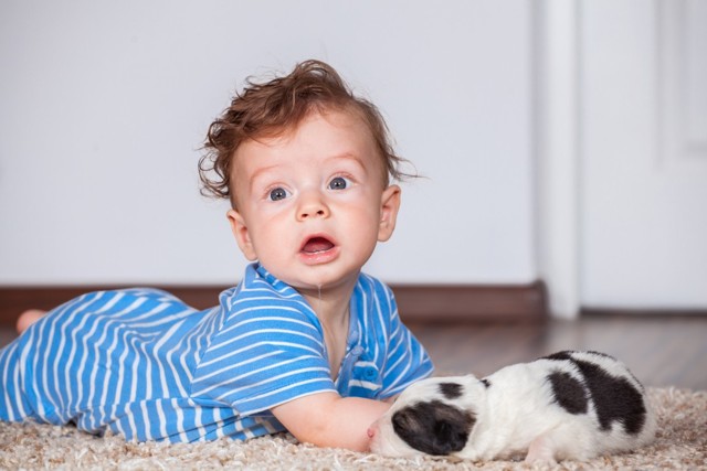 Развитие семимесячного ребенка: психология малыша и особенности периода