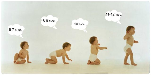 Характеристика основных периодов роста и развития ребенка: все что нужно знать родителям