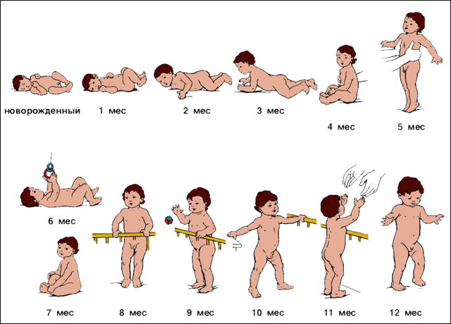 Стадии развития ребенка: как изменяется ваш малыш с течением времени