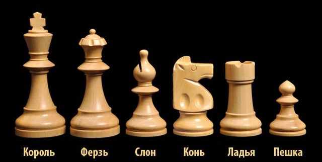 Правила игры в шахматы: для начинающих детей и увлеченных родителей