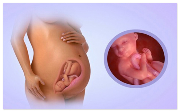 Развитие ребенка на 32 неделе беременности: интересные сведения для будущей мамы
