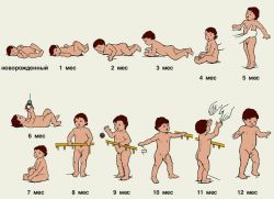 Таблица развития ребенка до 1 года: индивидуальные физические параметры малыша
