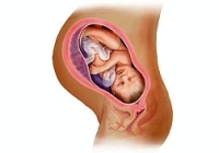 Беременность 8 месяцев: внутриутробное развитие ребенка и самочувствие матери