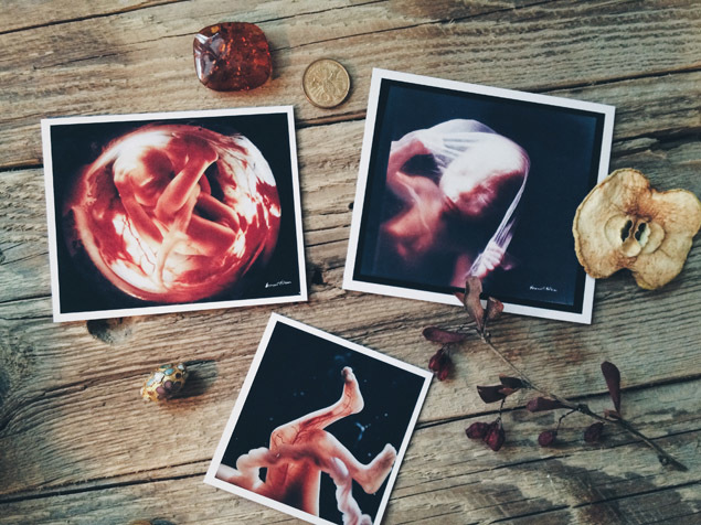 Развитие ребенка по дням: этапы беременности от зачатия до рождения