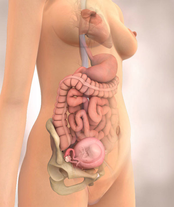 Развитие ребенка на 16 неделе беременности: физиологические особенности матери и дитя