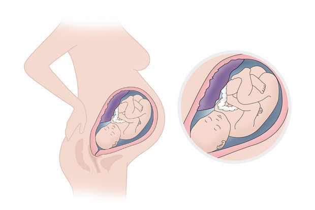 Развитие ребенка на 37 неделе беременности: как протекает подготовка к родам